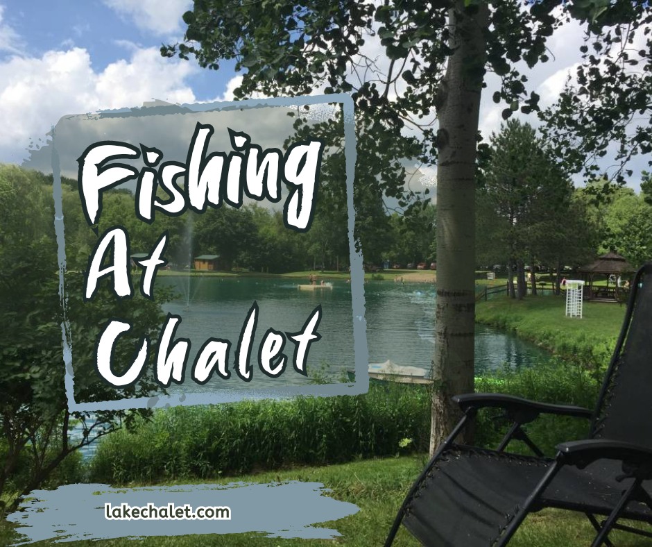 One of many pastimes while camping is an age old tradition, fishing! While it may seem straightforward, there are a lot of tips you can use to maximize your potential of reeling in a big one.
1. Fish love hiding out in places where they have natural cover. Look for spots where the thickness in vegetation changes in the water to find their sneaky hiding spots.
2. As well as this, look for changes in depth as fish often congregate there!
3. Always make sure that you are properly equipped and research the type of fish that are in the lake, being informed about the species is the best way to make the most of your #fishingtrip!
#fishing #camping