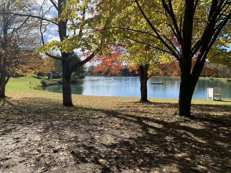 Gallery Lake Chalet Motel & Campground